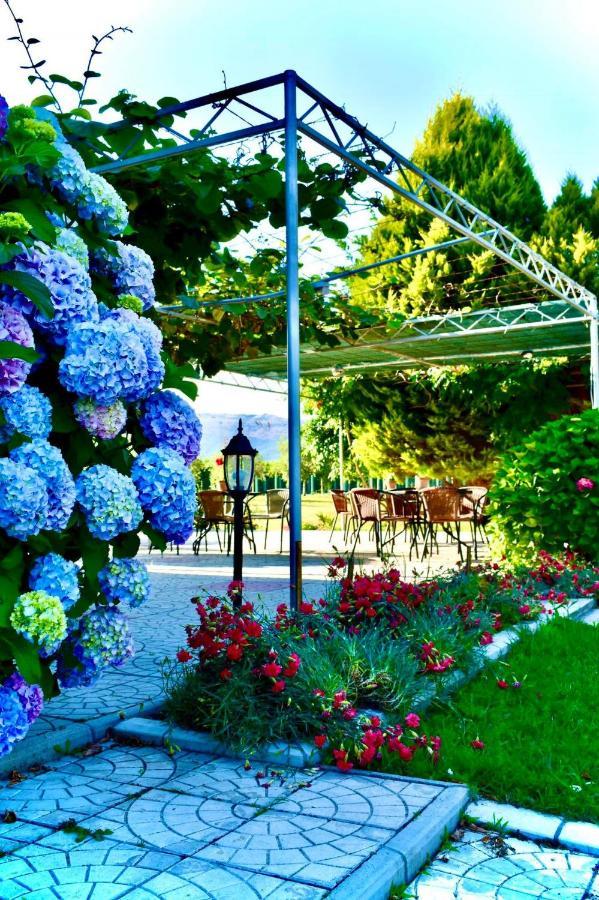 Apartament Casa Nita Ulcinj Zewnętrze zdjęcie