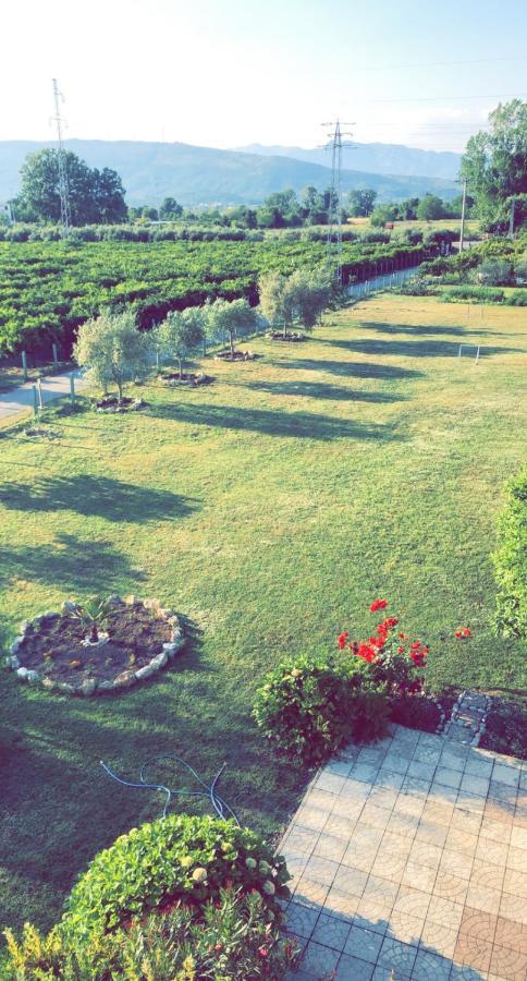 Apartament Casa Nita Ulcinj Zewnętrze zdjęcie