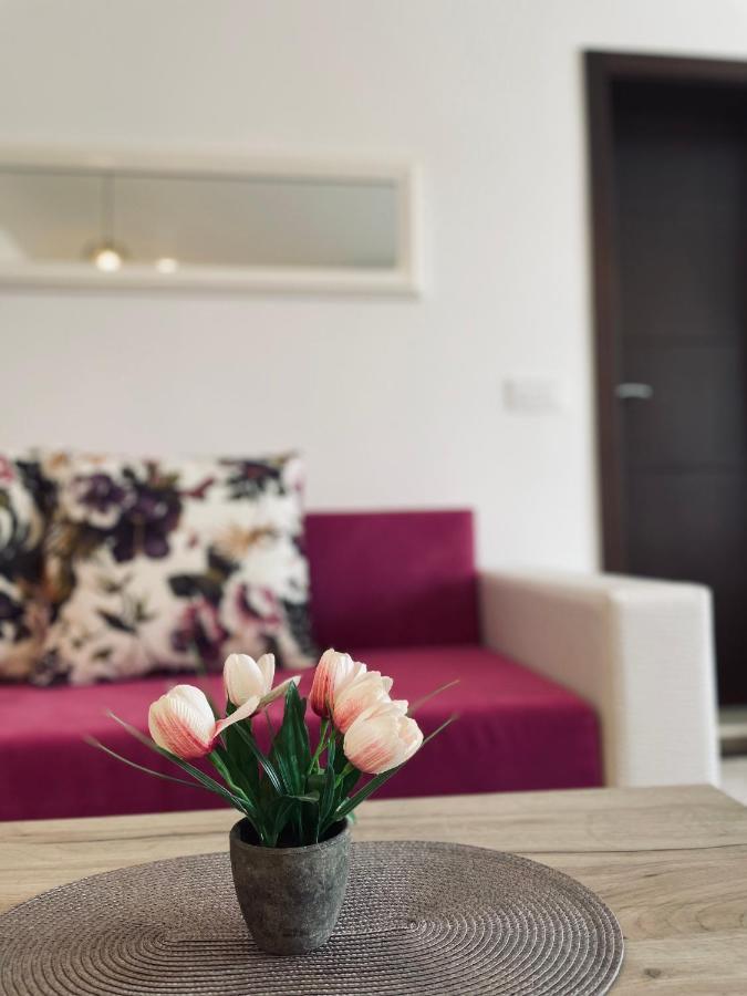 Apartament Casa Nita Ulcinj Zewnętrze zdjęcie